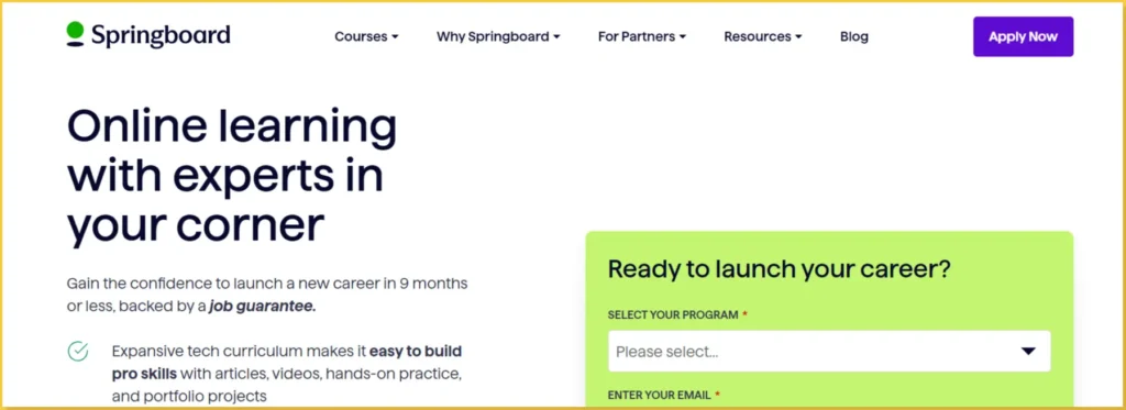 Springboard: a list of best e-learning platform